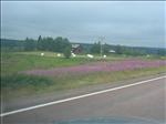 Sweden 2006-04 108